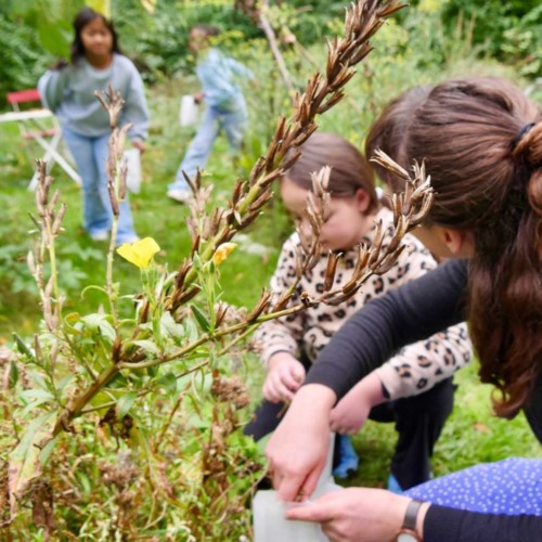 TAFF Kooperation Heimisch (w)erden SZ2025/26
